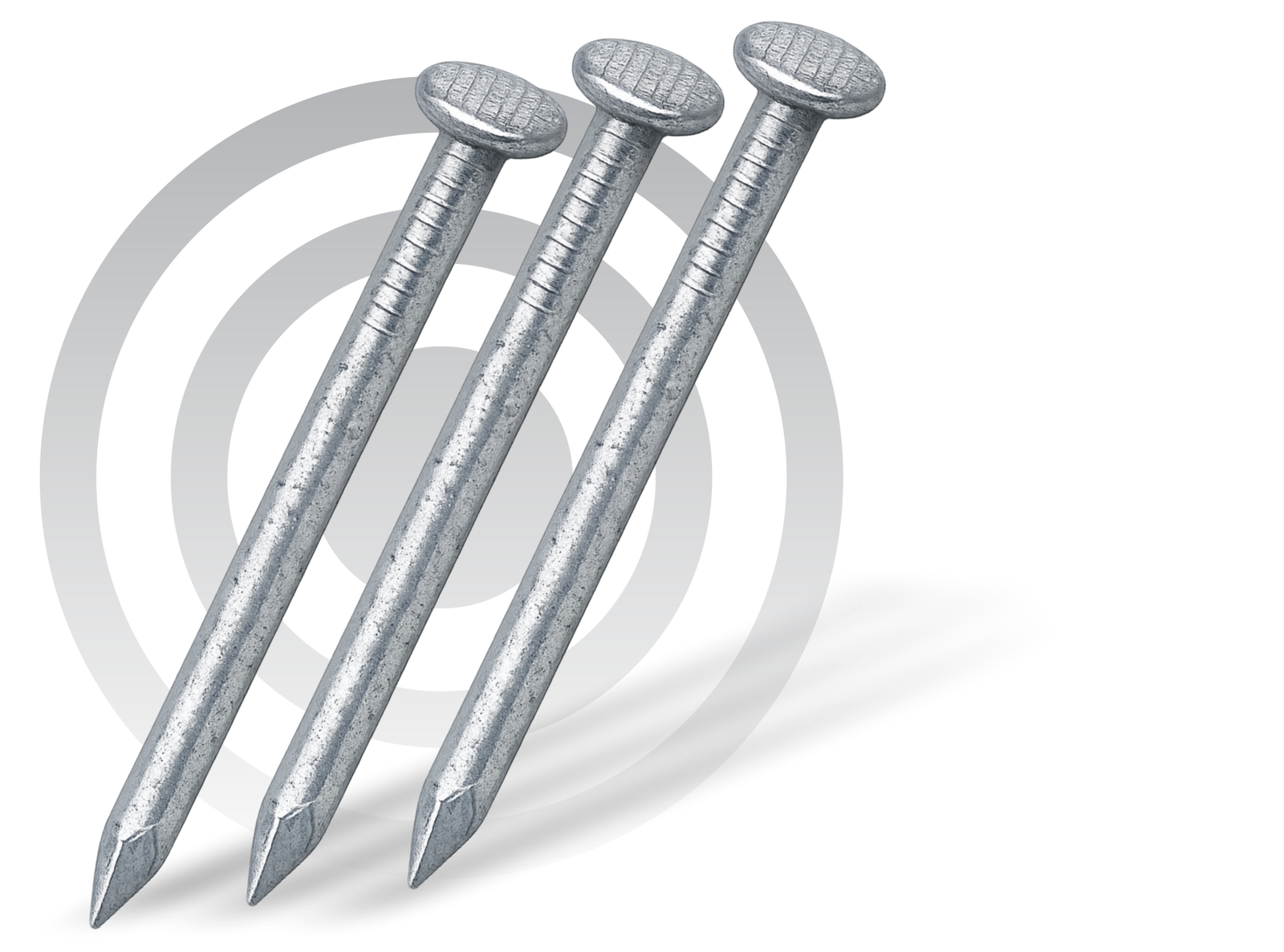 Galvanized MS Nails
